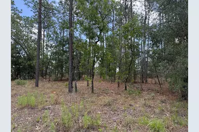 Nw Buena Vista Road, Dunnellon, FL 34431 - Photo 1