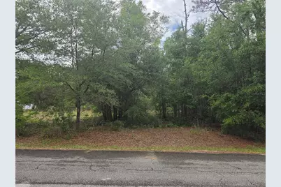 Sw 202nd Court, Dunnellon, FL 34431 - Photo 1