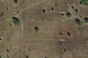 2307 E Tabby Ln, Inverness, FL 34453 - Photo 1