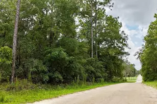 52 Ln Road SW & 126 Terrace Road SW, Ocala, FL 34481 - Photo 1