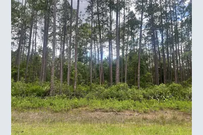 137 E Boundary Drive, Georgetown, FL 32139 - Photo 1