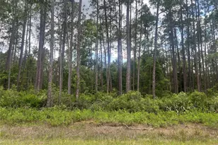 137 E Boundary Dr, Georgetown, FL 32139 - Photo 1