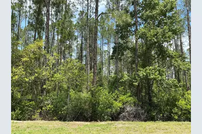4430 Vicki Street, Hastings, FL 32145 - Photo 1