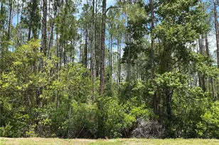 4430 Vicki St, Hastings, FL 32145 - Photo 1