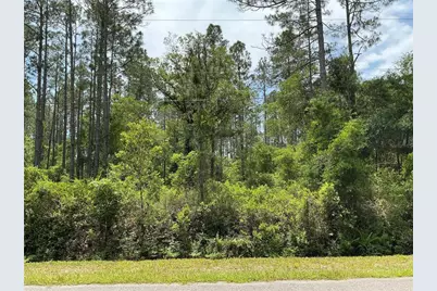 4365 Vicki Street, Hastings, FL 32145 - Photo 1