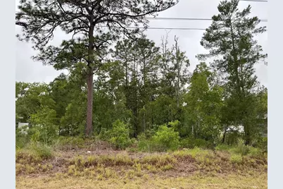 Fisher Lane Terrace, Ocklawaha, FL 32179 - Photo 1