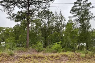 Fisher Ln Terrace, Ocklawaha, FL 32179 - Photo 1