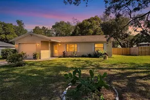 6159 Piedmont Dr, Spring Hill, FL 34606 - Photo 1