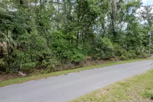 Lot 6 SW 186 Circle, Dunnellon, FL 34432 - Photo 1