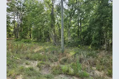 Tbd NE 153rd Avenue, Williston, FL 32696 - Photo 1