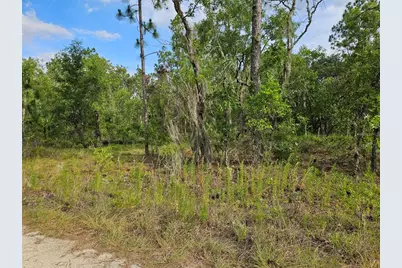 Tbd NE 12th Lane, Williston, FL 32696 - Photo 1