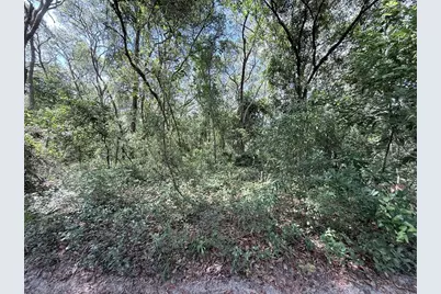 Tbd SW 150th Street, Dunnellon, FL 34432 - Photo 1