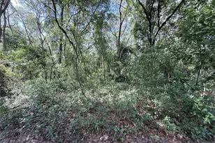 Tbd SW 150th St, Dunnellon, FL 34432 - Photo 1