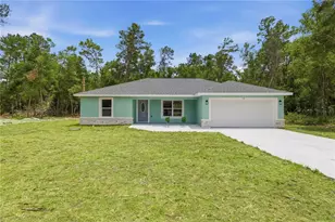 10 Bay Ln, Ocklawaha, FL 32179 - Photo 1