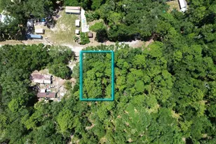 Tbd SE 86th Ln, Ocklawaha, FL 32179 - Photo 1