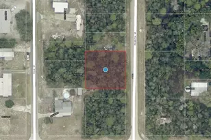 Tbd Palmetto St, Paisley, FL 32767 - Photo 1
