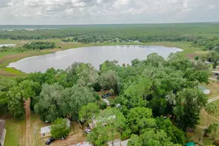 18811 NE 248th Terrace, Fort Mc Coy, FL 32134 - Photo 1