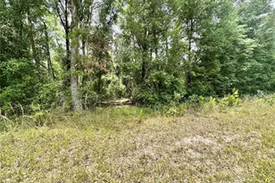 County Road 349 N, O'Brien, FL 32071 - Photo 1