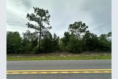 9191 NE 80th Street, Bronson, FL 32621 - Photo 1