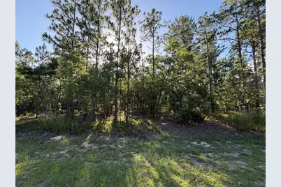 2005 Cr 243E, Wildwood, FL 34785 - Photo 1