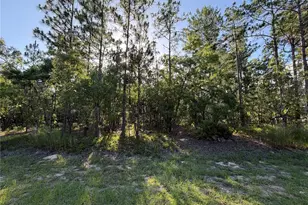 2005 Cr 243E, Wildwood, FL 34785 - Photo 1