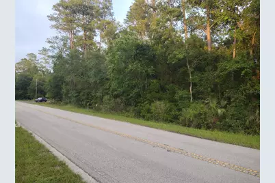 Ne Hwy 314 Highway NE, Silver Springs, FL 34488 - Photo 1