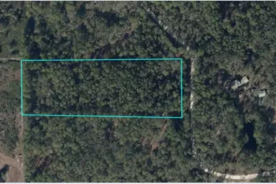 Tbd SE 91st Trail, Trenton, FL 32693 - Photo 1