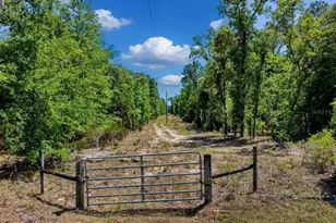 Tbd NE 75 St, Williston, FL 32696 - Photo 1