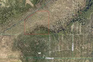 0 NE 217th Pl, Citra, FL 32113 - Photo 1