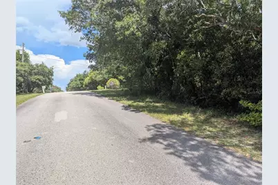1180 E Cleveland Street, Hernando, FL 34442 - Photo 1