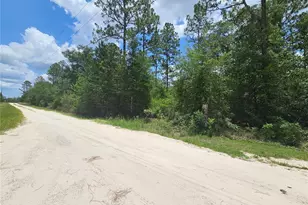 0000 NE 40th Ln, Williston, FL 32696 - Photo 1