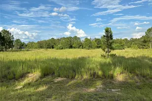 Maple Ln Way, Ocklawaha, FL 32179 - Photo 1