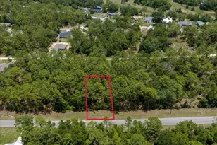 150th Ave, Williston, FL 32696 - Photo 1