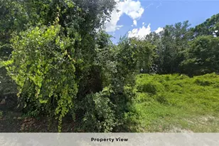Lot 6 & 7 Constitution Dr, North Port, FL 34291 - Photo 1