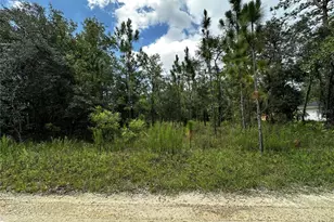 Tbd NE 15th Ln, Williston, FL 32696 - Photo 1