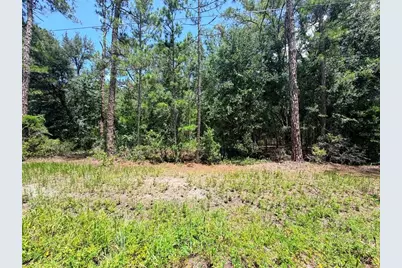 0 NE 132nd Pl, Citra, FL 32113 - Photo 1