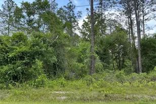 10730 Beckenger Ave, Hastings, FL 32145 - Photo 1