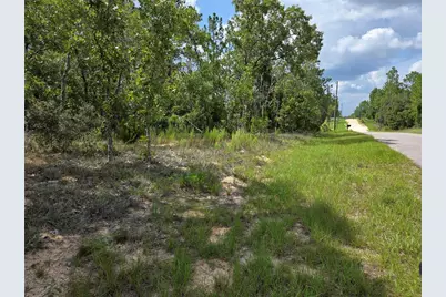 0000 NE 150th Avenue, Williston, FL 32696 - Photo 1