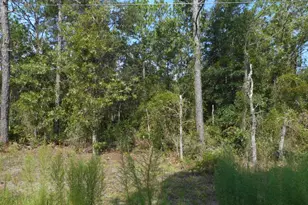 136 Terrace SW, Dunnellon, FL 34432 - Photo 1