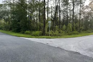 Lot 18 SW Nautilus Blvd, Dunnellon, FL 34431 - Photo 1