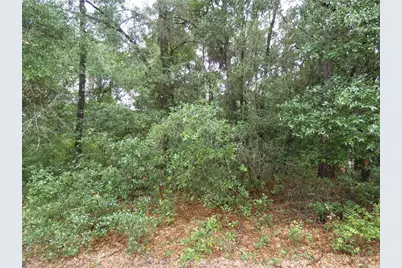 Tbd SW 151 St Pl, Dunnellon, FL 34432 - Photo 1