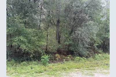 Tbd SW 125th Terrace, Dunnellon, FL 34432 - Photo 1