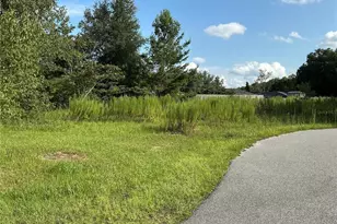 Lot 28 Aspen Dr Pl, Ocala, FL 34480 - Photo 1