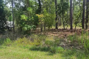 0 NW Hillsdale Ave, Dunnellon, FL 34431 - Photo 1