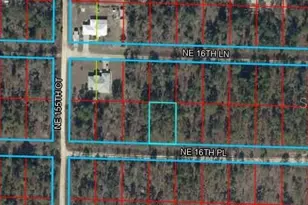 NE 16 Pl, Williston, FL 32696 - Photo 1