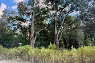 0 SW 16th Pl, Ocala, FL 34481 - Photo 1