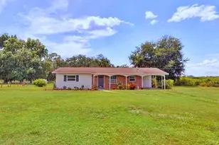 397 Maude Rd, Wauchula, FL 33873 - Photo 1