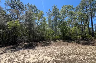 5354 N Tee Pee Dr, Beverly Hills, FL 34465 - Photo 1