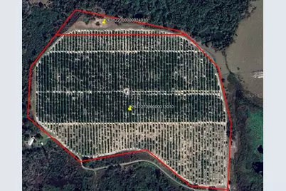 Buffum Church Road, Fort Meade, FL 33841 - Photo 1