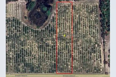 Mammoth Grove Road, Lake Wales, FL 33898 - Photo 1